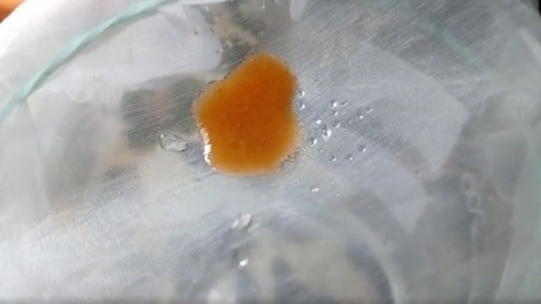 Разведение артемии в домашних условиях (выведение науплий)! Кормление малька живой артемией. смотреть онлайн