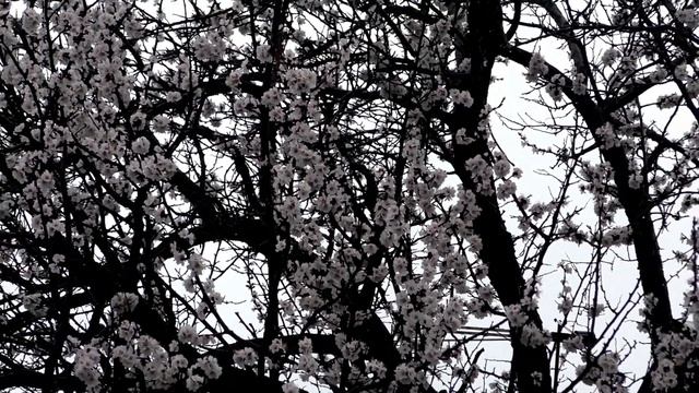 16 апреля – именины сегодня отмечают смотреть онлайн