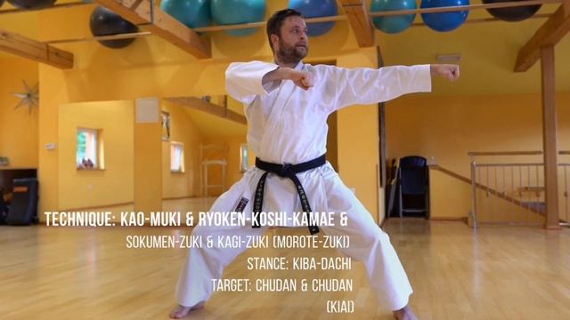 Kata TEKKI SHODAN ? | Step by step w/ technique names // Global Karate Academy смотреть онлайн