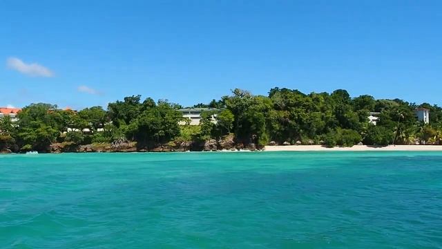 Dominicana. Whales. Киты в Доминикане. смотреть онлайн