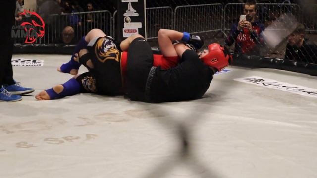 Финал Кубка Мэра по ММА 2019. 1й день Октагон 1. 8я пара / Дневник ММА смотреть онлайн