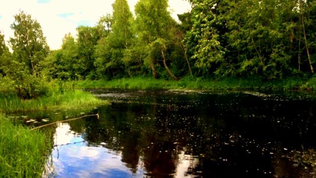 Рыбалка на серебристого малька . Ржавые находки на MD . Fishing on the dam. смотреть онлайн