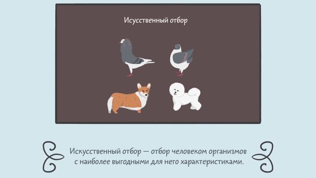 5.2 Биография и взгляды Чарльза Дарвина. Естествознание - 10 - 11 класс смотреть онлайн