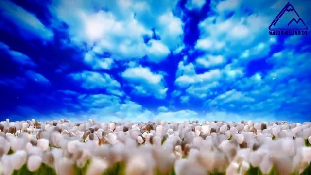 Azan, Азан Призыв к молитве! смотреть онлайн