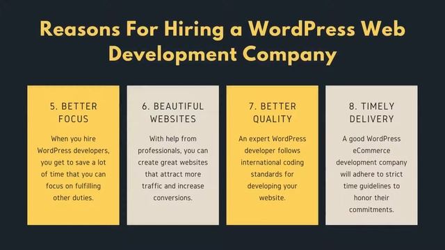 Top Reasons For Hiring A WordPress Development Company смотреть онлайн