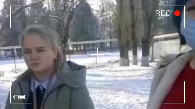 Новогодняя акция помощи животным смотреть онлайн