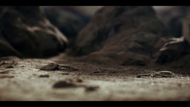 Cultura | Payada Pa`Satan смотреть онлайн