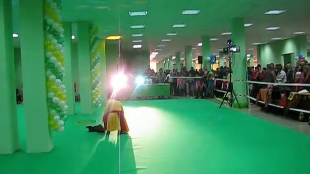 Выставка собак Белгород 06.04.14 - фристайл смотреть онлайн