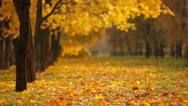 Cozy Autumn ➤ Relaxing Piano Music, Singing Birds, Water Sound & White Noise
