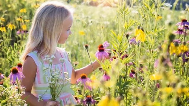 Полевые цветы ( Валерий Палаускас ) cover by Бабка Ёжка смотреть онлайн