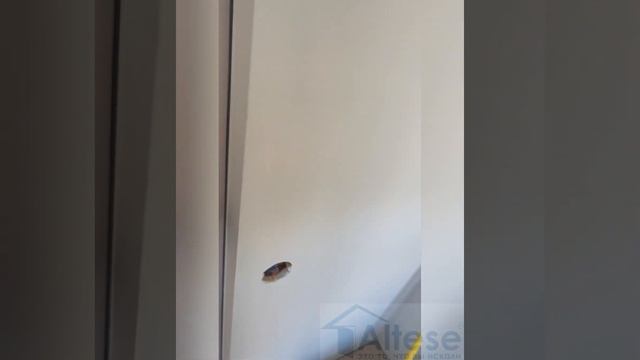 Межкомнатная дверь скрытого монтажа смотреть онлайн