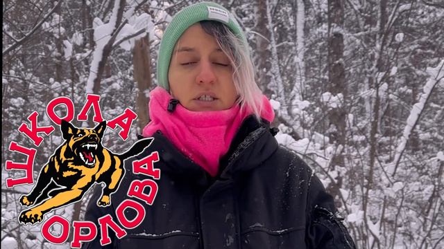 Можно ли собаке спать в кровати или это неприемлемо? смотреть онлайн