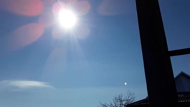 Вопрос шароверам. Как такое возможно? Включите Человеки мозги и жизнь сразу изменится к лучшему. смотреть онлайн