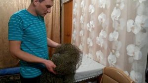 Покраска сети на тайник