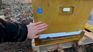 Сравнение  ульев Lyson и Нижегородец после двух сезонов работы