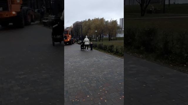 Так вывозятся мешки с листвой внутри , дабы людям не мешать. Улица Костромская 10 шагов до дороги смотреть онлайн