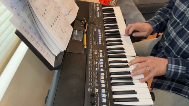 Beautiful Dreamer / Henrik Lehnerer - Yamaha PSR-SX600 смотреть онлайн
