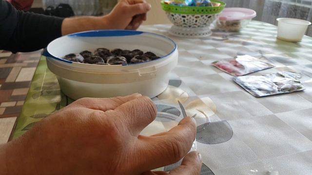 Петуния. Сеем семена петунии. Забыл название цветка. смотреть онлайн