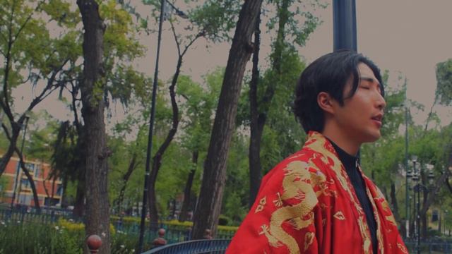 해를 품은 달 Kdrama - 시간을 거슬러 (¿No puedo regresar al timepo?) cover by David Kang смотреть онлайн