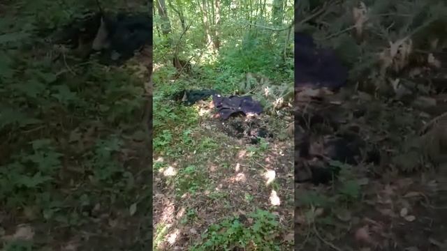 лето 2020 дача общество Светлана Плотниково смотреть онлайн