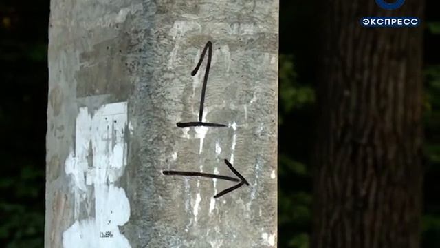 В Пензе состоялся iMall-автоквест смотреть онлайн