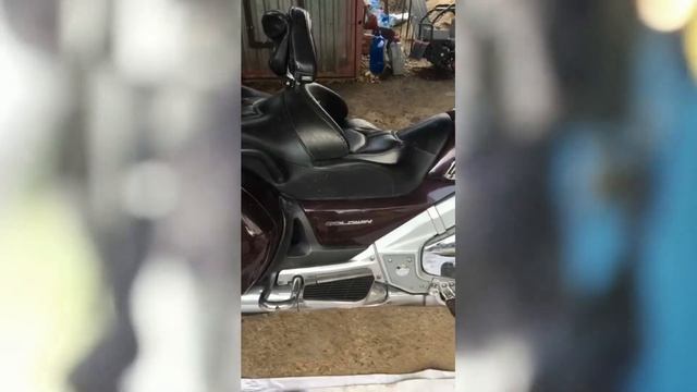 Дорожные комические моменты