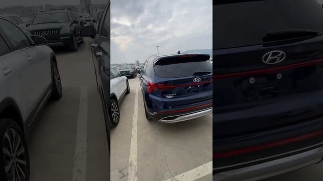 Hyundai Santa Fe 2022г. #подборавто #подборавтомобилей #пригонавтоподключ #пригонавто