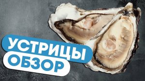 Как выбрать УСТРИЦЫ? Обзор устриц от шеф-повара Сергея Лигай. Обзор деликатесов. Моллюски на створке