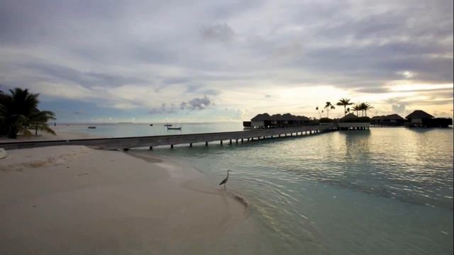 Ari Atoll - Maldiven смотреть онлайн
