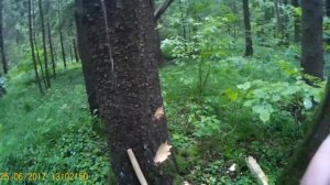 Динамика рубки топором. Как правильно рубить топором