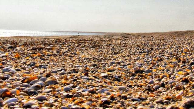 Бирючий остров. Отдых на Азовском море Украина смотреть онлайн