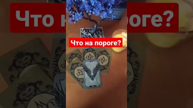 Что Вас ждёт в а следующей неделе?!Ответы быстрые гадания таро на Ютуб ?❤#самогадание #гадание смотреть онлайн