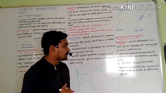 Ch no.2 સપુષ્પી વનસ્પતિઓમાં લિગી પ્રજનન смотреть онлайн