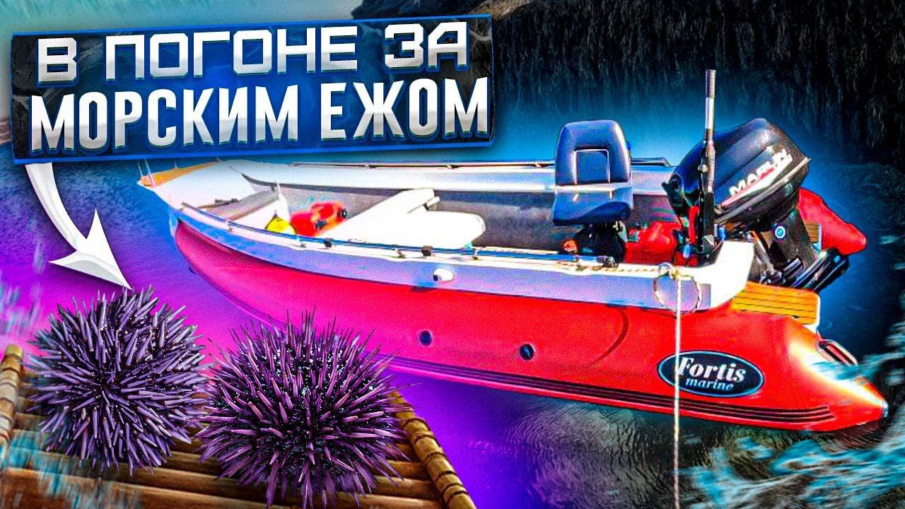 за морским Ежом на Fortis 460Z смотреть онлайн