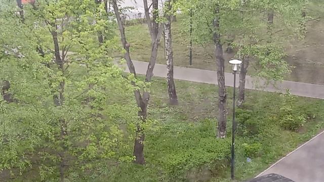 2 видео о благодарности, #душа #любовь #добро #дневник благодарности смотреть онлайн