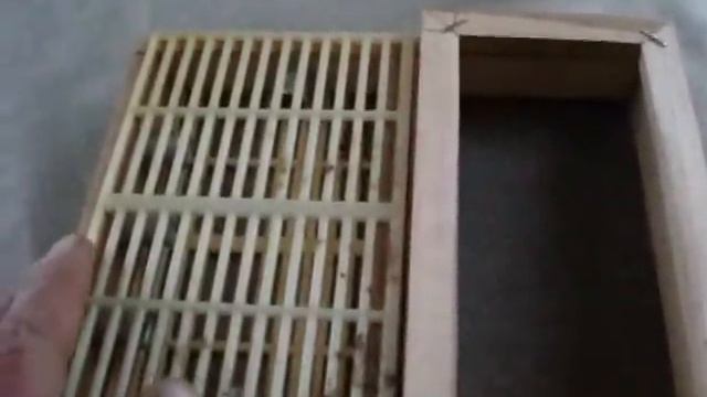 Пчеловодство. Ловушка для пчелиной матки смотреть онлайн