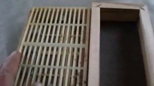 Пчеловодство. Ловушка для пчелиной матки