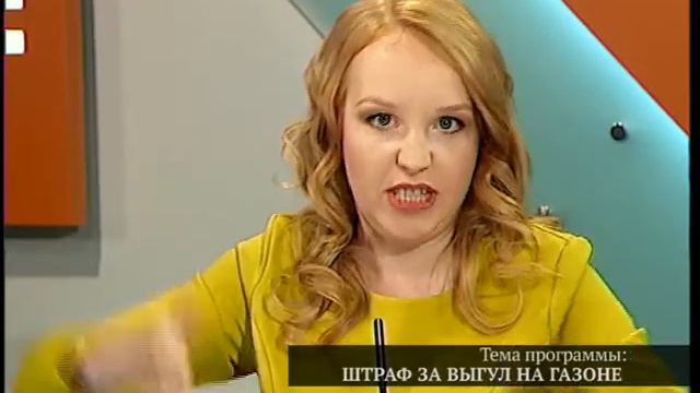 Штраф за собачьи экскременты. Как будут наказывать за "неправильный" выгул собак смотреть онлайн