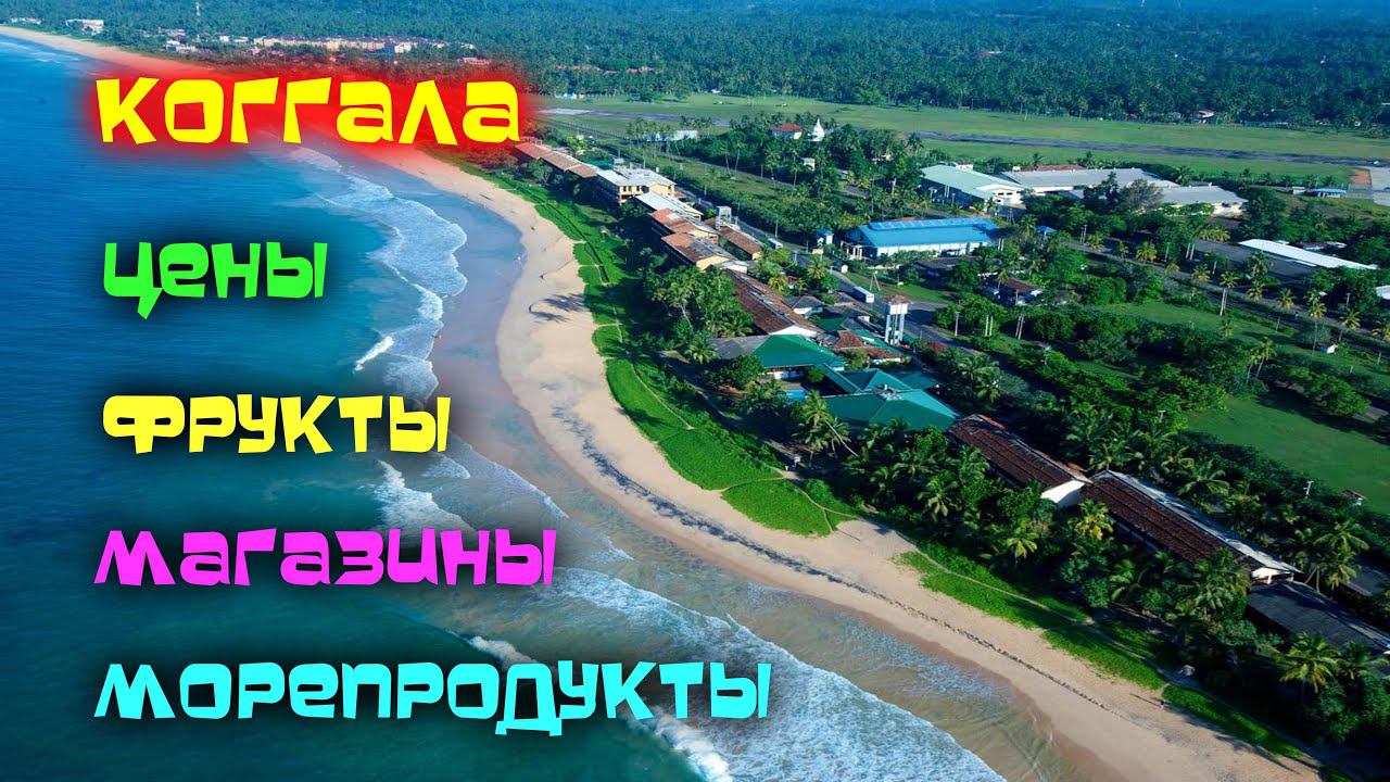 Коггала ФРУКТЫ /ПРОДУКТЫ /Шри Ланка смотреть онлайн