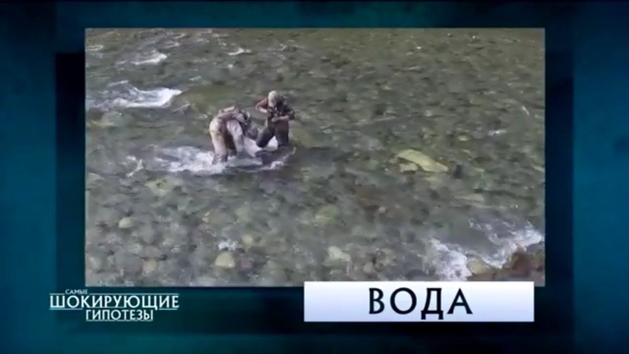 Древний ящер в ЯНАО. Динозавр на реке Рута-Ю. РЕН-ТВ выпуск 402 Шокирующие гипотезы. смотреть онлайн