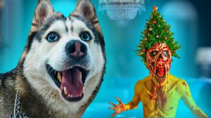 НИКОГДА НЕ НАРЯЖАЙ ЁЛКОГОЛОВОГО! (Хаски Бандит) Говорящая собака