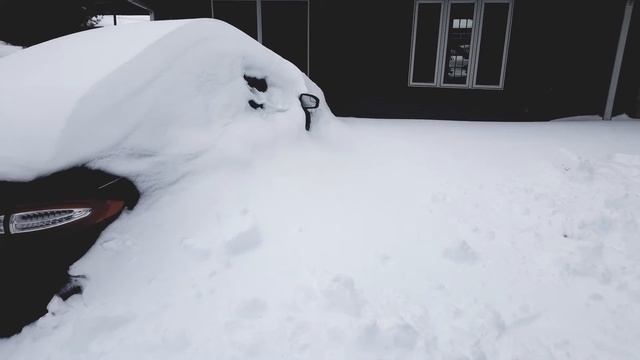 2016 Ford Fusion Energi plug-in hybrid + Jonas смотреть онлайн