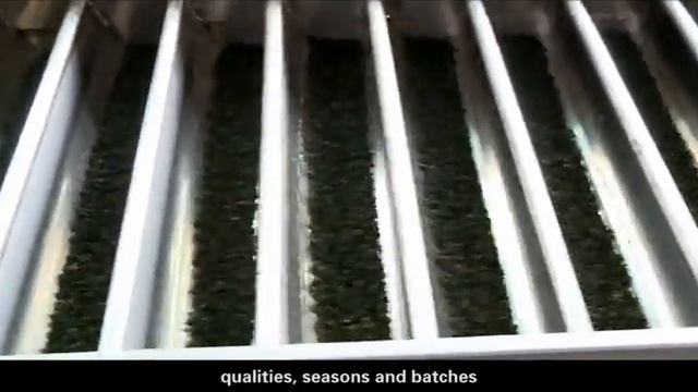 Китайский чай оптом от производителя HunanTea.ru