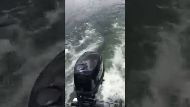 Elco Motors смотреть онлайн