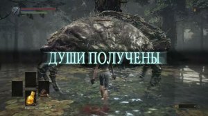 Dark Souls 3 прохождение часть 2
