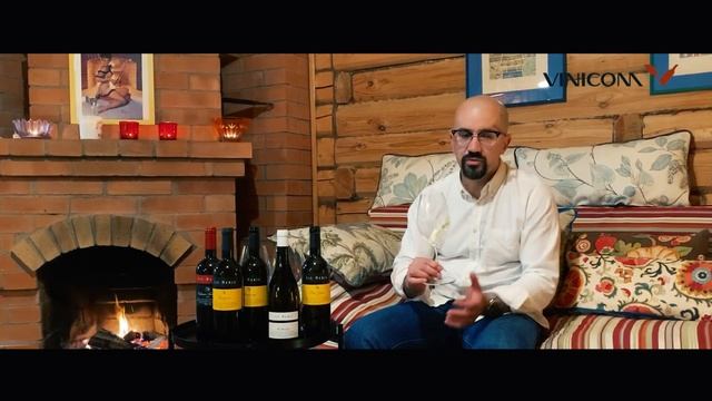 Vinicom Разговоры у камина с Борисом Гаськовым. Lis Neris. Часть 2. Дегустация. смотреть онлайн