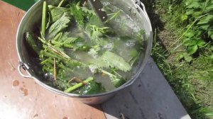 Как делать Удобрение из  Крапивы с добавлением дрожжей