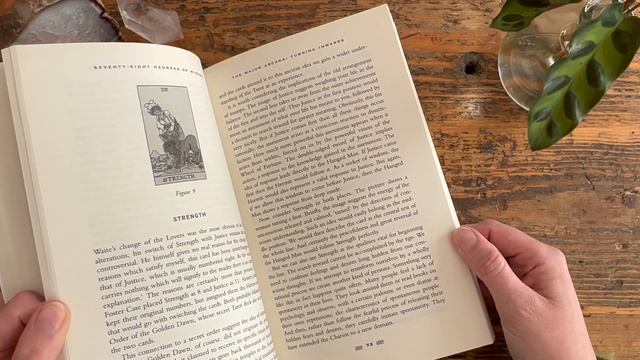 A Year and a Day: March/April 2023 смотреть онлайн