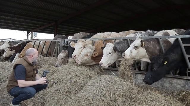 ILFORD XP2 SUPER 400 - TRY OUT смотреть онлайн