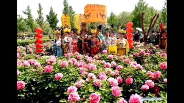 Императрица У Цзэтянь. От наложницы до императрицы смотреть онлайн